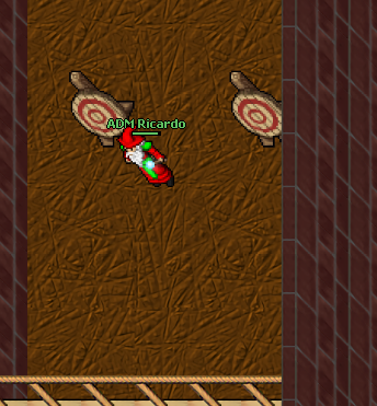 Exercise weapon training dummies fixed